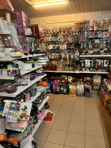 Zwierzakowe Marzenia Sklep Zoologiczny Agnieszka Wiszniewska